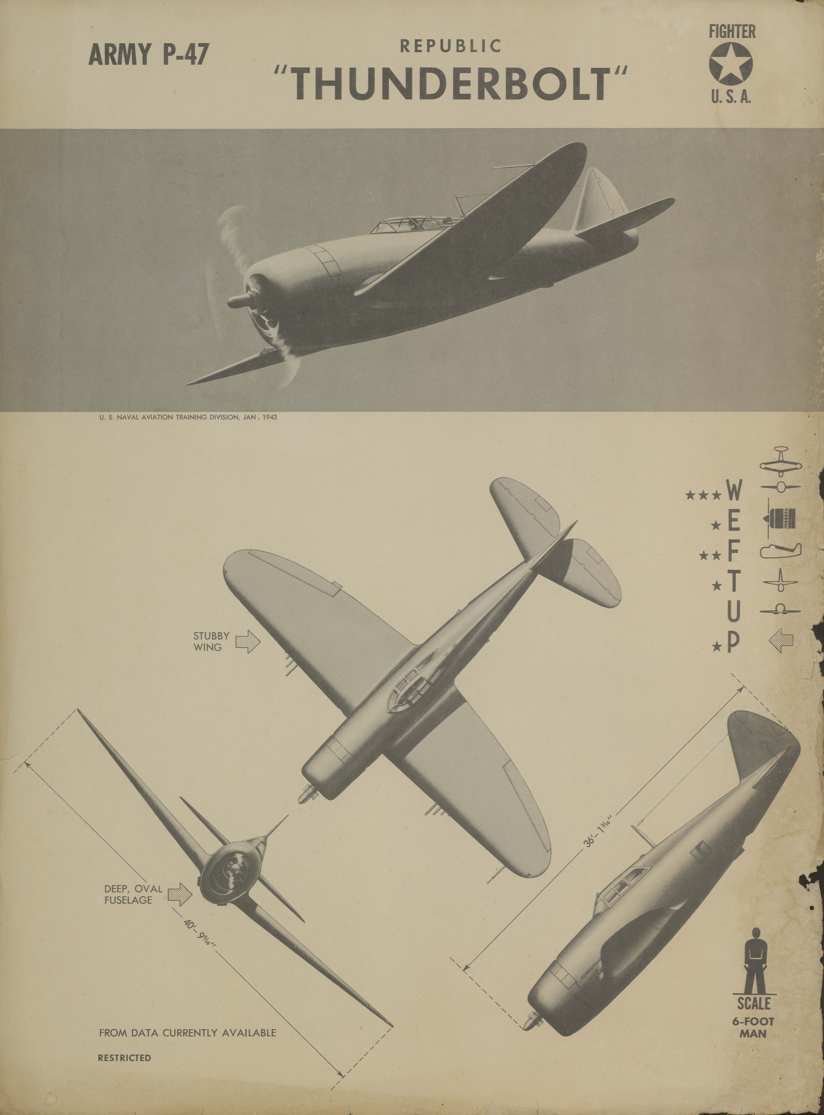 Sample page 1 from AirCorps Library document: P-47 Thunderbolt Recognition Poster