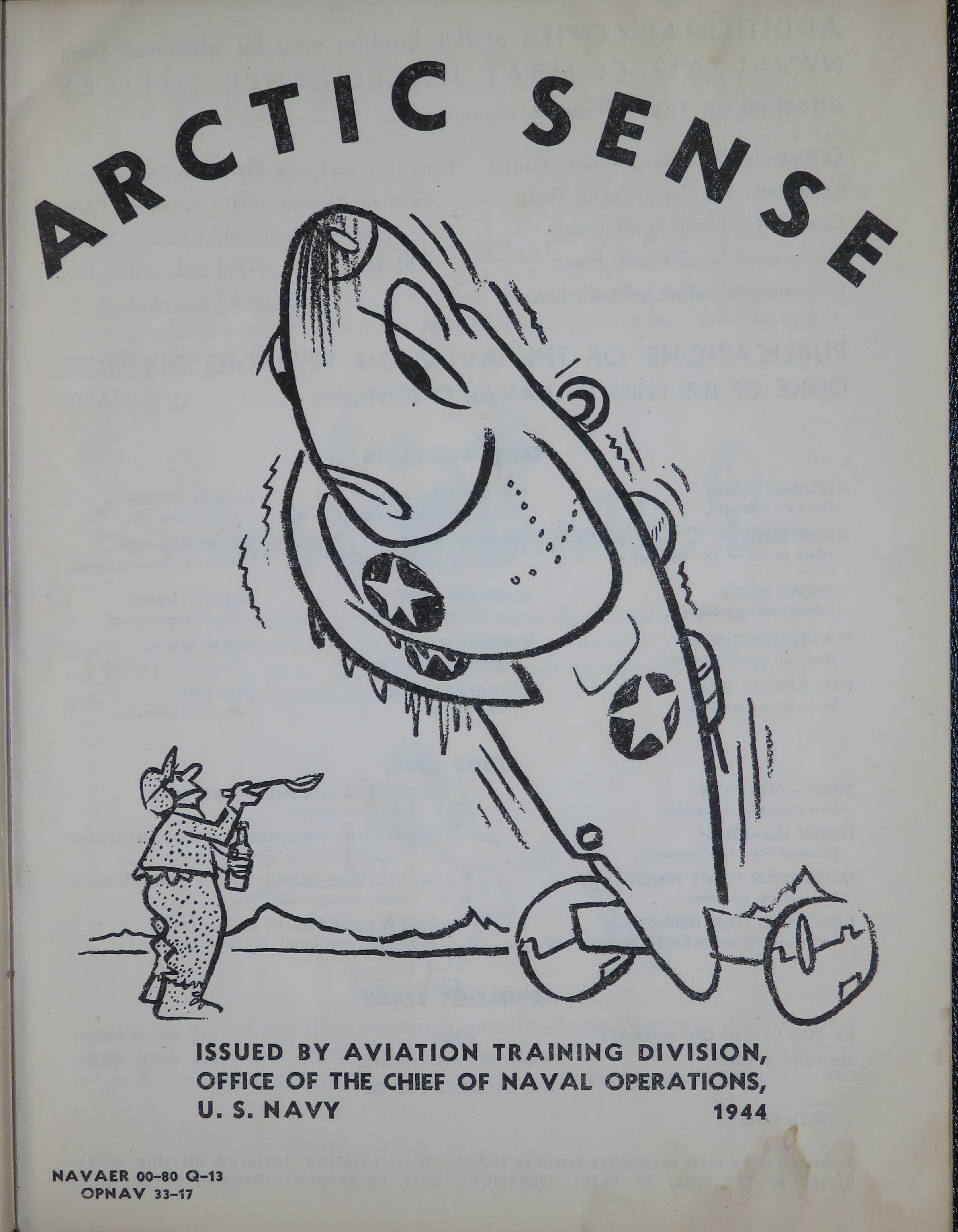 Sample page 3 from AirCorps Library document: Arctic Sense