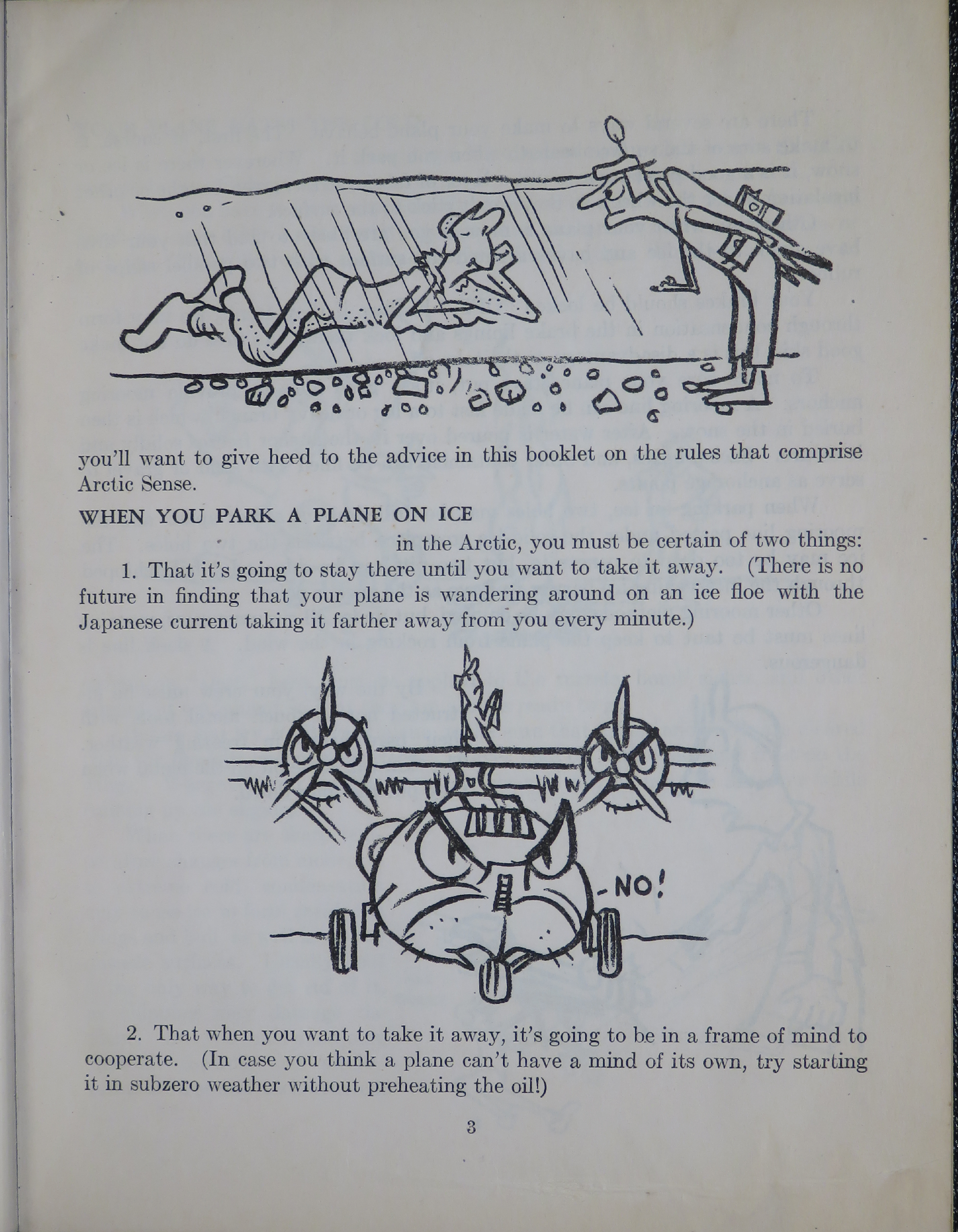 Sample page 5 from AirCorps Library document: Arctic Sense