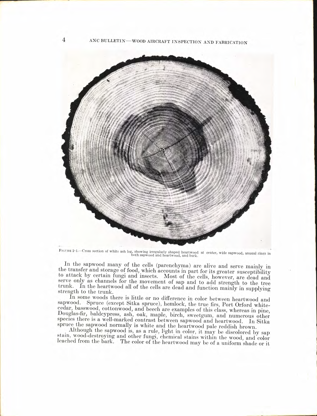 Sample page 8 from AirCorps Library document: Wood Aircraft Inspection and Fabrication