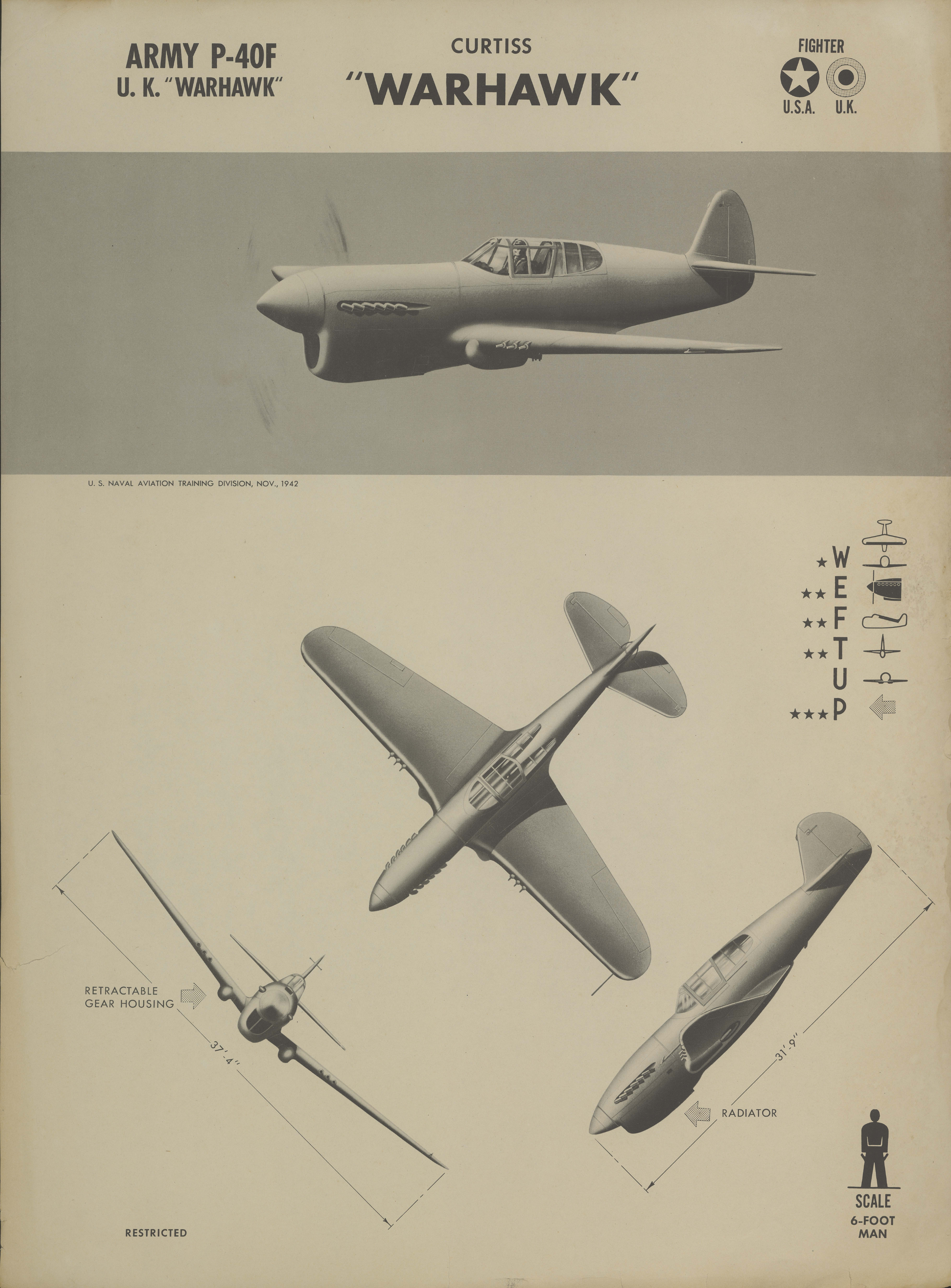 Sample page 1 from AirCorps Library document: P-40F Warhawk Recognition Poster