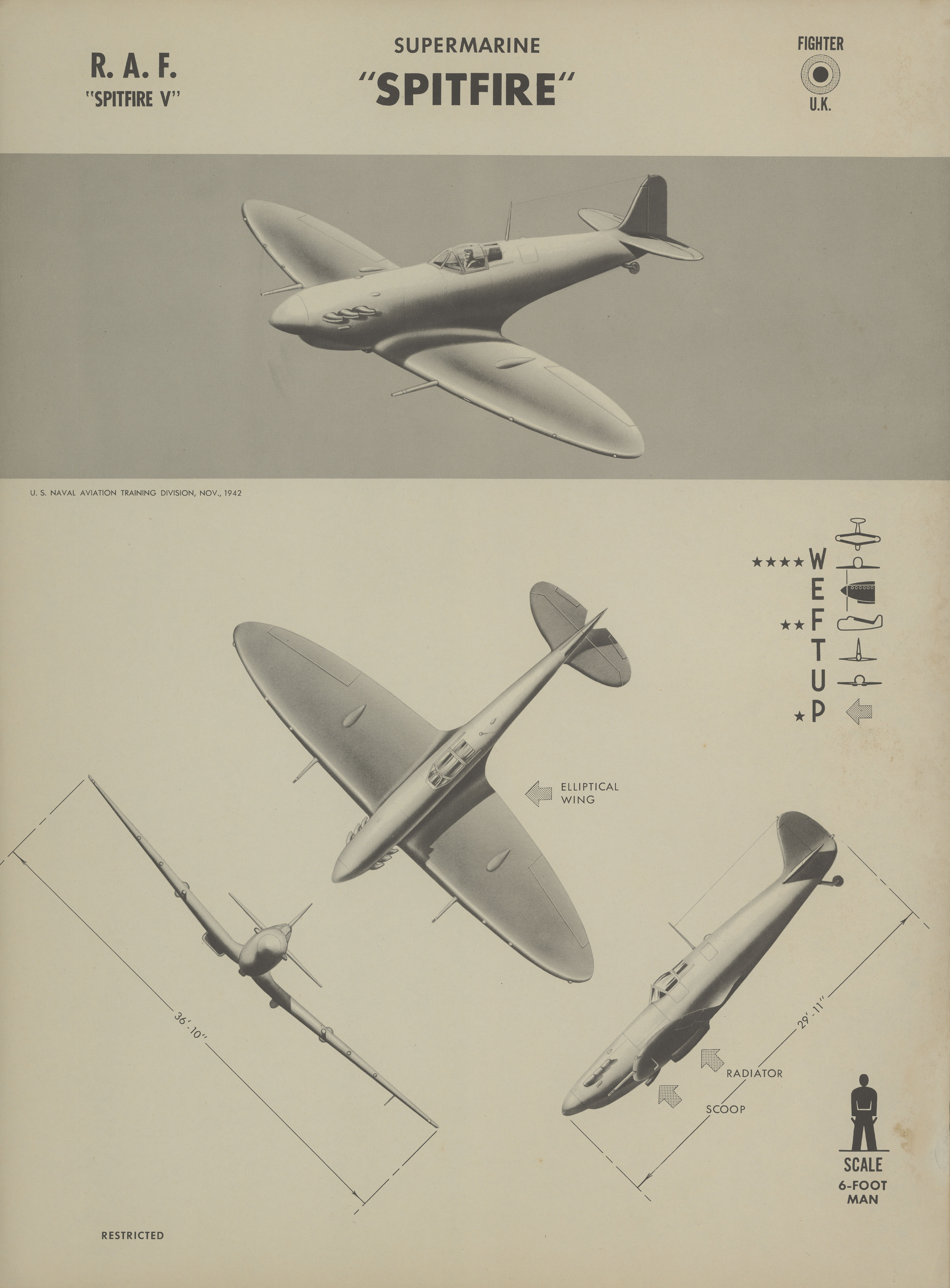 Sample page 1 from AirCorps Library document: Spitfire Recognition Poster