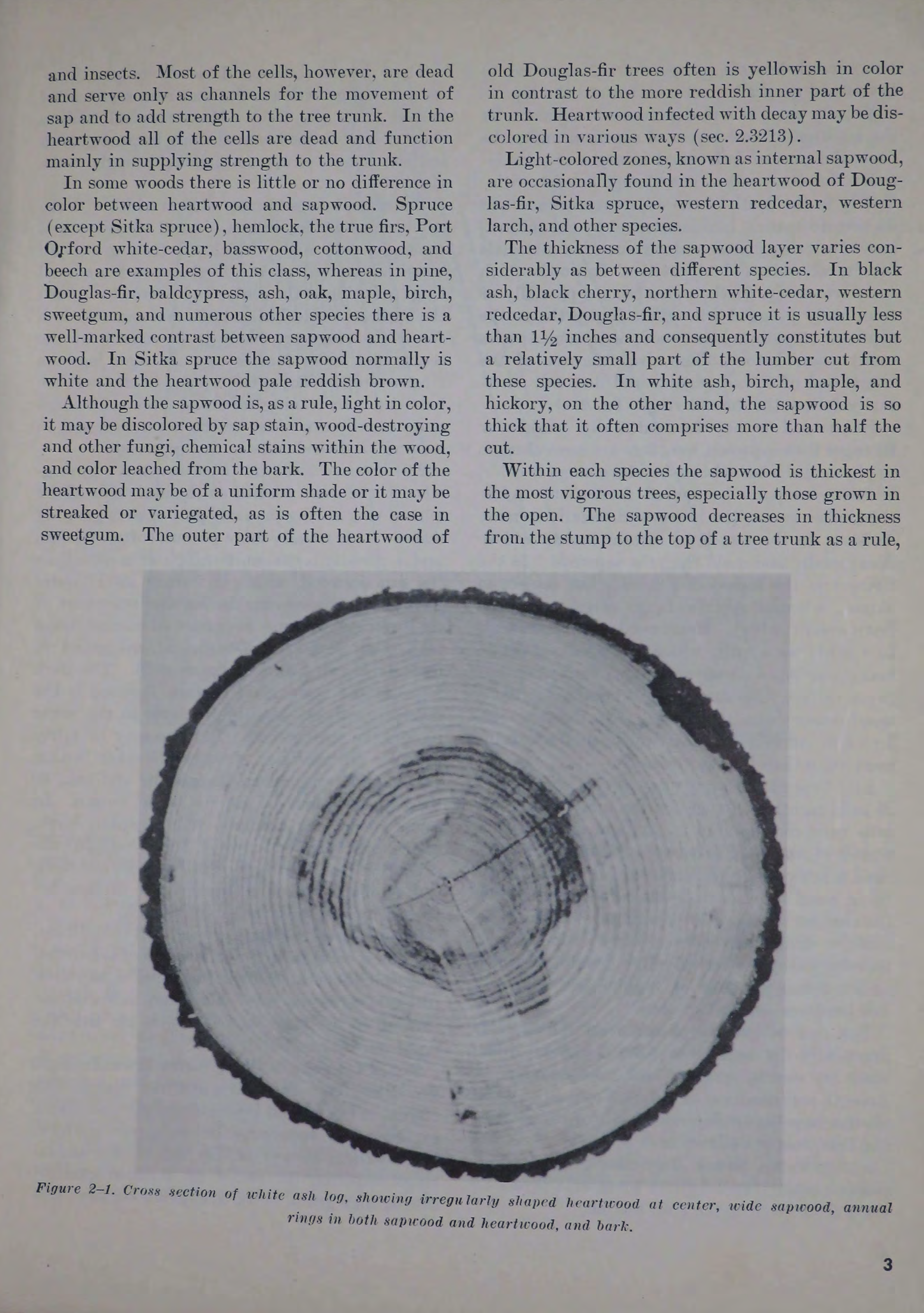 Sample page 7 from AirCorps Library document: Wood Aircraft Inspection and Fabrication