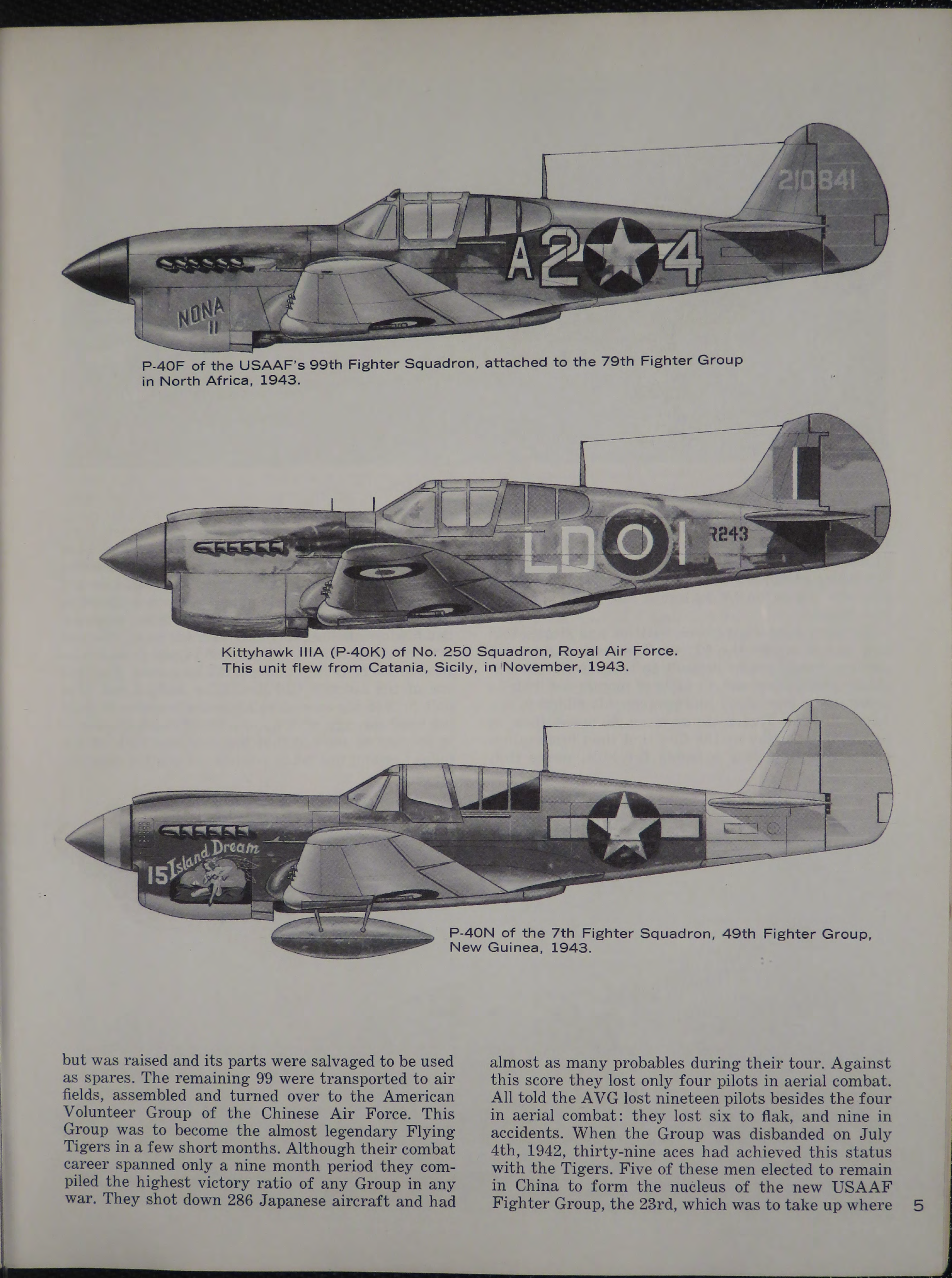 Sample page 7 from AirCorps Library document: The P-40 Kittyhawk