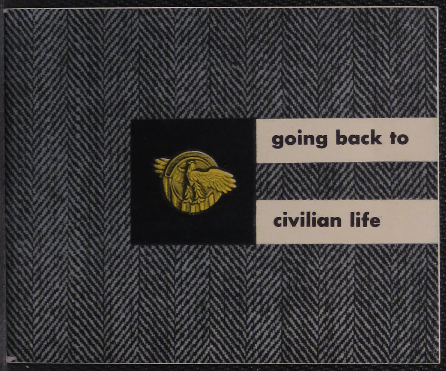 Sample page 1 from AirCorps Library document: Going Back to Civilian Life