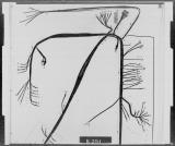 Manufacturer's drawing for Lockheed Corporation P-38 Lightning. Drawing number 197981