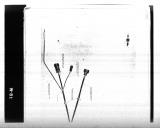Manufacturer's drawing for Lockheed Corporation P-38 Lightning. Drawing number 198748