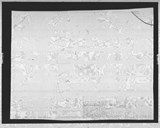 Manufacturer's drawing for Curtiss-Wright P-40 Warhawk. Drawing number 99521