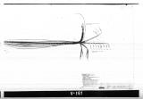 Manufacturer's drawing for Lockheed Corporation P-38 Lightning. Drawing number 197578