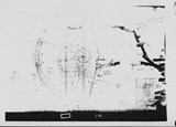Manufacturer's drawing for Curtiss-Wright P-40 Warhawk. Drawing number 99501