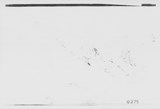 Manufacturer's drawing for Chance Vought F4U Corsair. Drawing number 33425