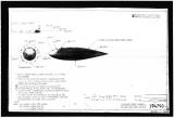 Manufacturer's drawing for Lockheed Aircraft Corporation P-38 Lightning Drawings & Manuals. Drawing number 194790