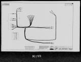 Manufacturer's drawing for Lockheed Aircraft Corporation P-38 Lightning Drawings & Manuals. Drawing number 196612