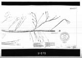 Manufacturer's drawing for Lockheed Corporation P-38 Lightning. Drawing number 196510