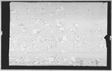 Manufacturer's drawing for Curtiss-Wright P-40 Warhawk. Drawing number 99313