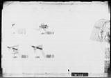 Manufacturer's drawing for North American Aviation P-51 Mustang. Drawing number 106-52013