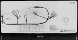 Manufacturer's drawing for Lockheed Corporation P-38 Lightning. Drawing number 196093