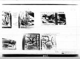 Manufacturer's drawing for Lockheed Corporation P-38 Lightning. Drawing number 198546