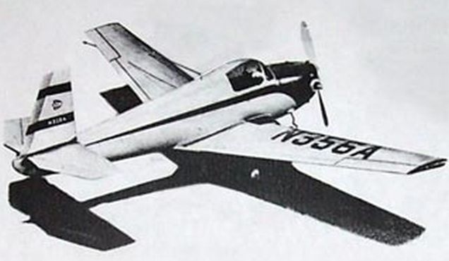 Mooney Mite